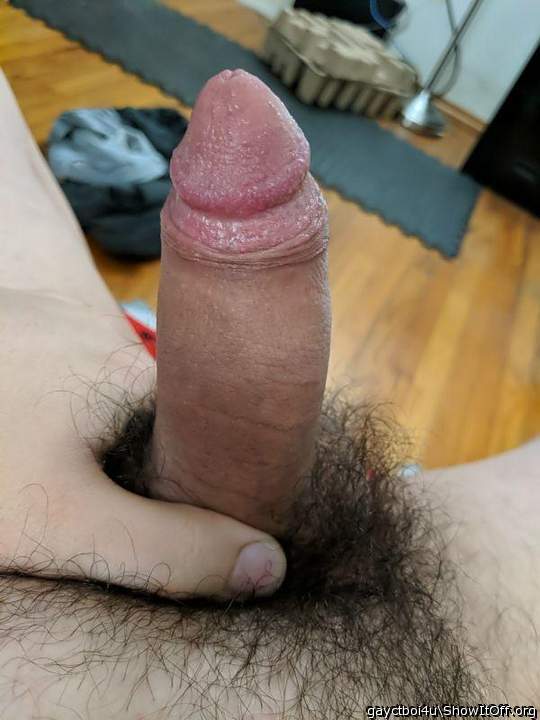 Beautiful cock!! Meaty, hairy, ready for extensive sucking!!
