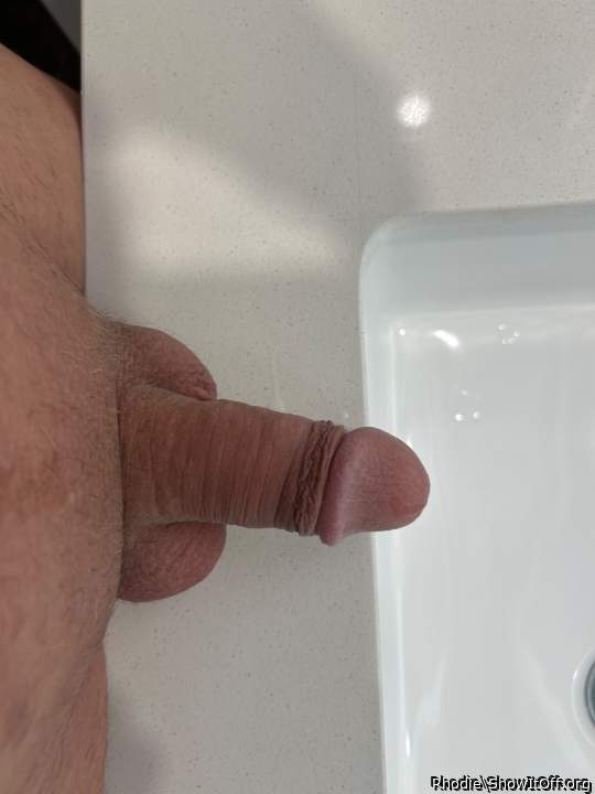 Adult image from Rhodie