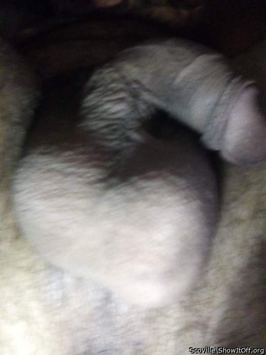 Adult image from Scoville