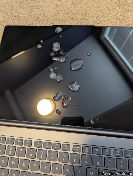 Adult image from Bifun