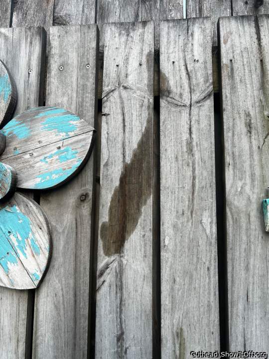 Hmmm I think my fence is telling me to 💦💦💦🤪