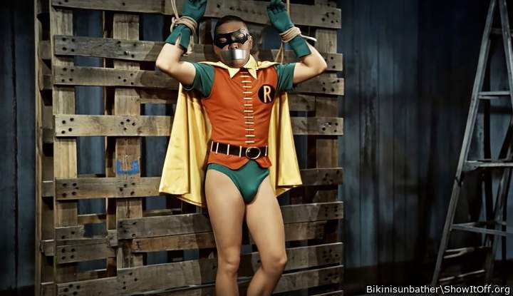 Robin tied up on crates