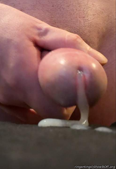 Adult image from ringsntings