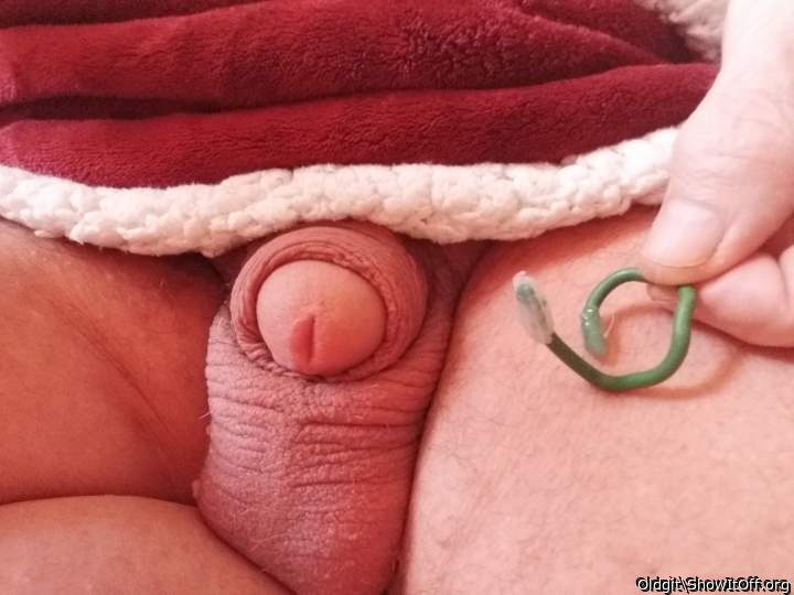 bent piece of garden wire, bent to hold back foreskin