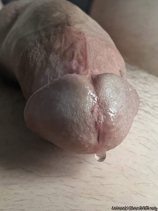 Adult image from Antonek