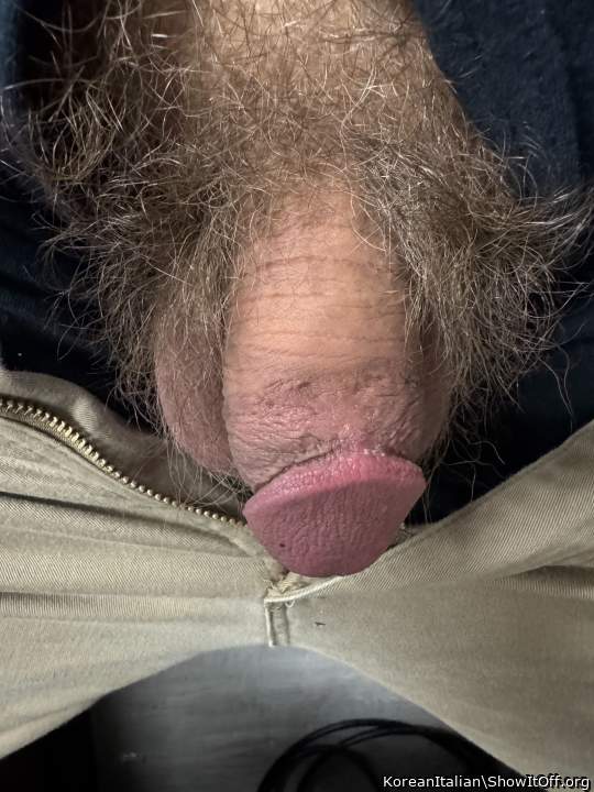 Just my softie hanging out at work