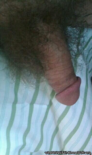 Adult image from PeterPecker
