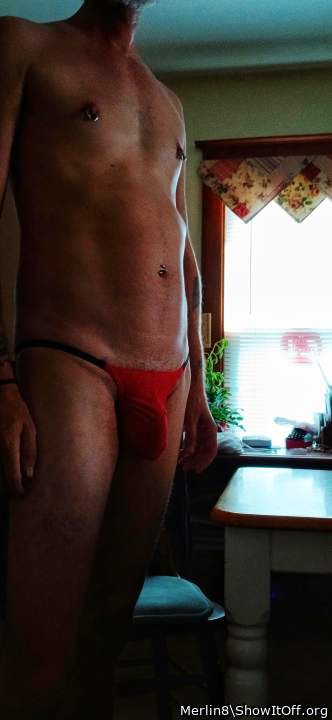 Adult image from Merlin8