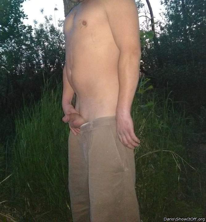 Adult image from Dario