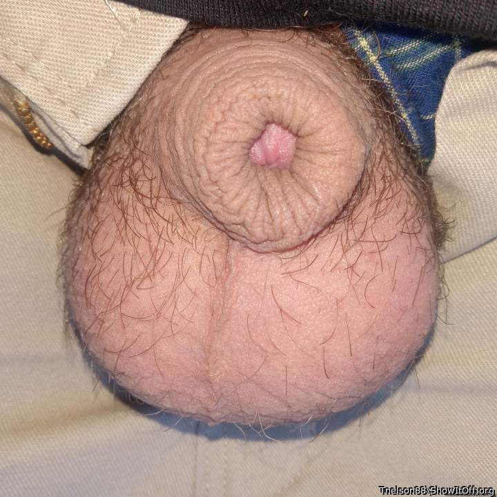 Adult image from Tnelson88