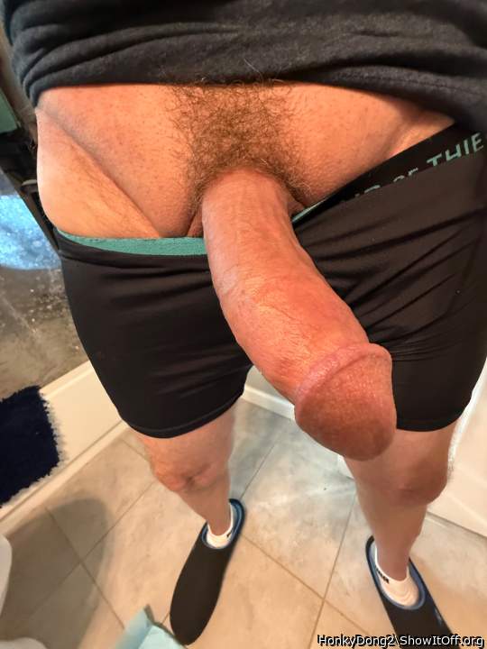 Adult image from HonkyDong2