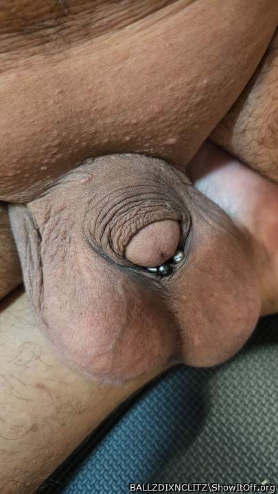 Adult image from BALLZDIXNCLITZ