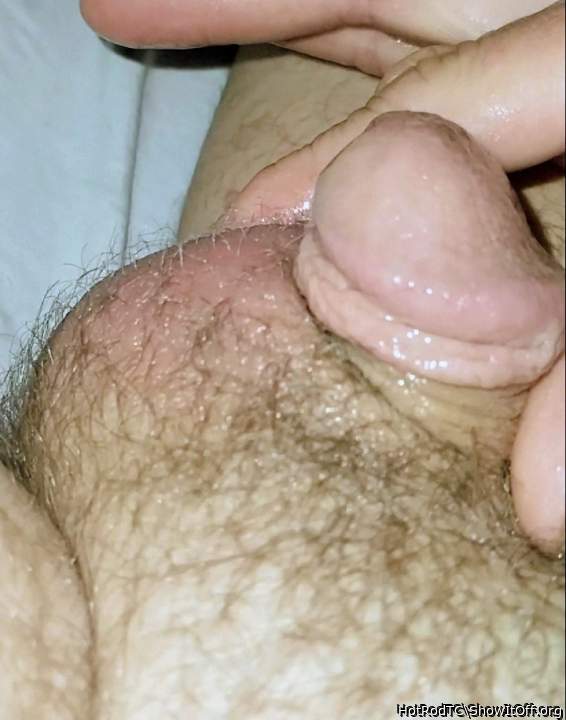 Really limp and lonely. Put it all in your mouth and feel how fast I grow