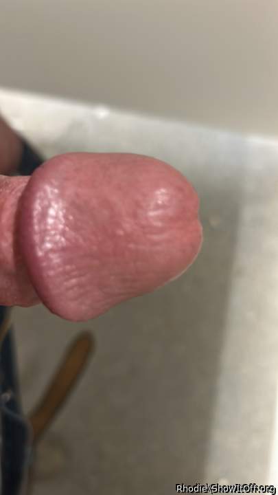 Adult image from Rhodie