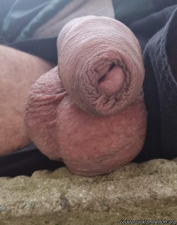 handsome penis   