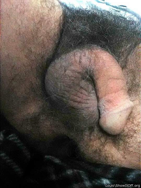Nice soft hairy cock and balls