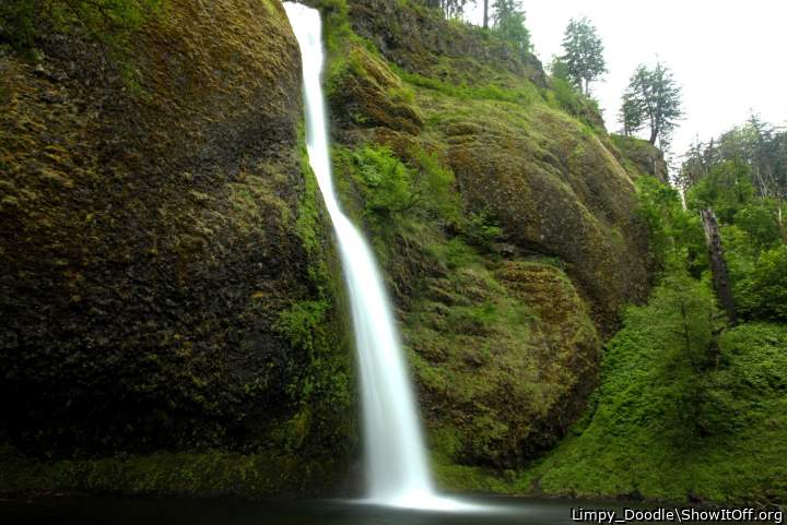 Adult image from Limpy_Doodle