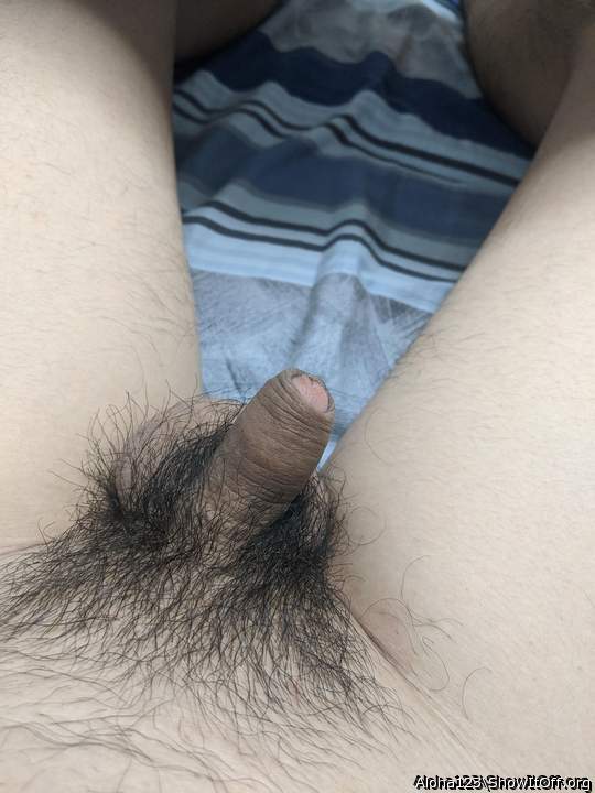 I like it plump and hairy.  Wanna feel it grow in my mouth