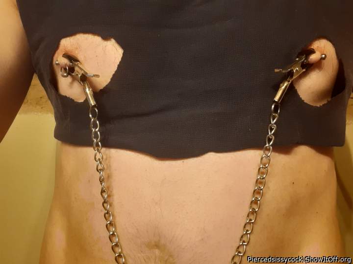 Adult image from Piercedsissycock