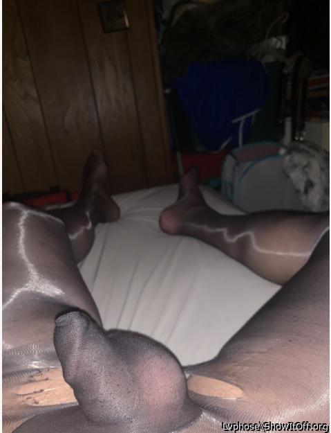 Adult image from Lvphose