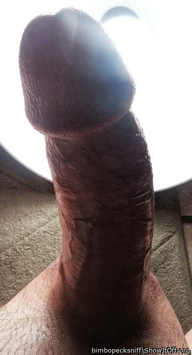 Follow The Light 💡