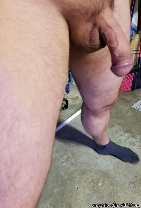 Very nice Cock Pic      