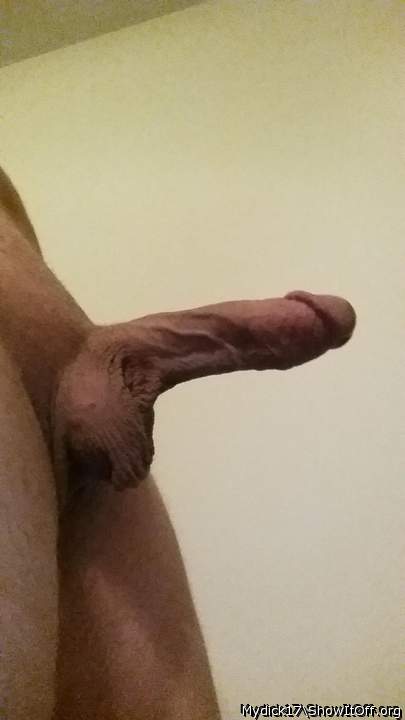 Adult image from Mydick17