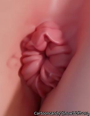 been used and fucked hard ass hole 