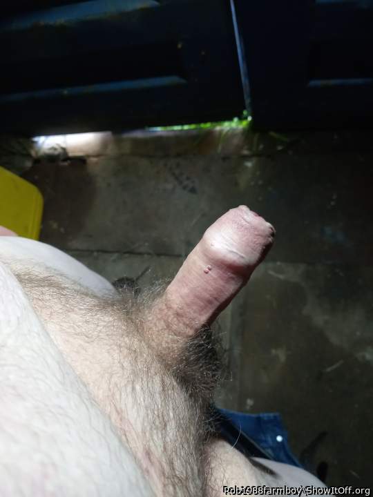 Adult image from Rob1988farmboy