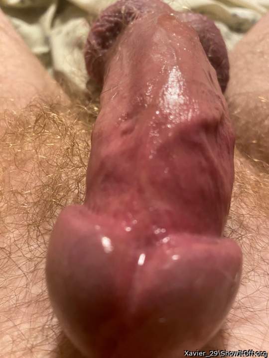 Adult image from Xavier_29