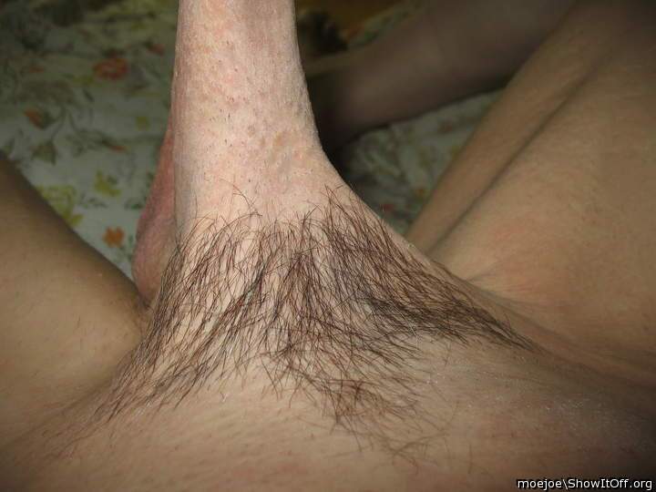 My pubes....you like ?