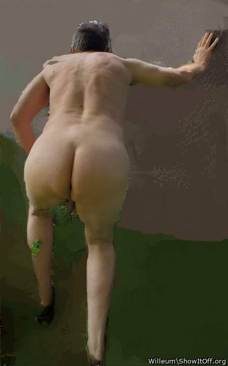 Adult image from Willeum