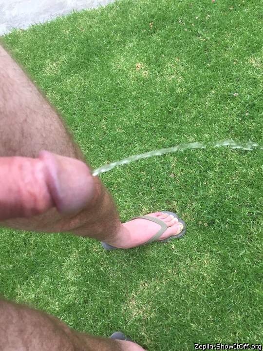 pissing on the back lawn 1