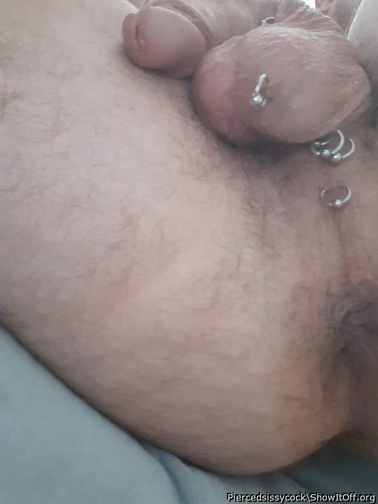 Adult image from Piercedsissycock