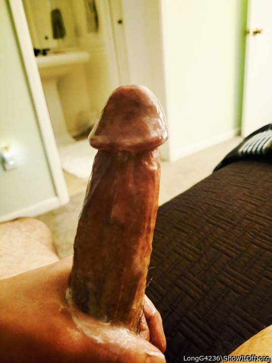 Adult image from LongG4236