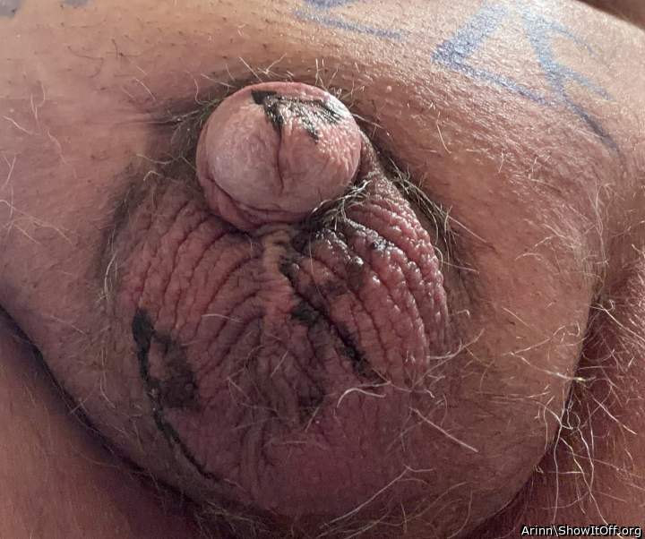 Adult image from Arinn