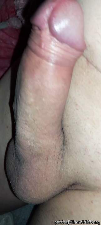 my hard and shaved dick)