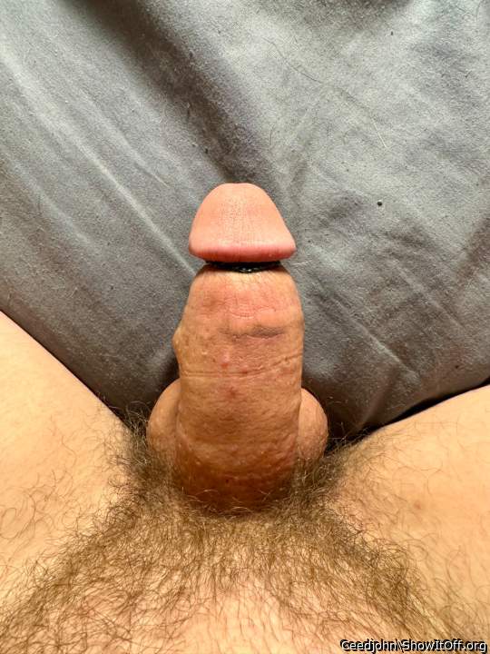 Nice thick dick big balls   