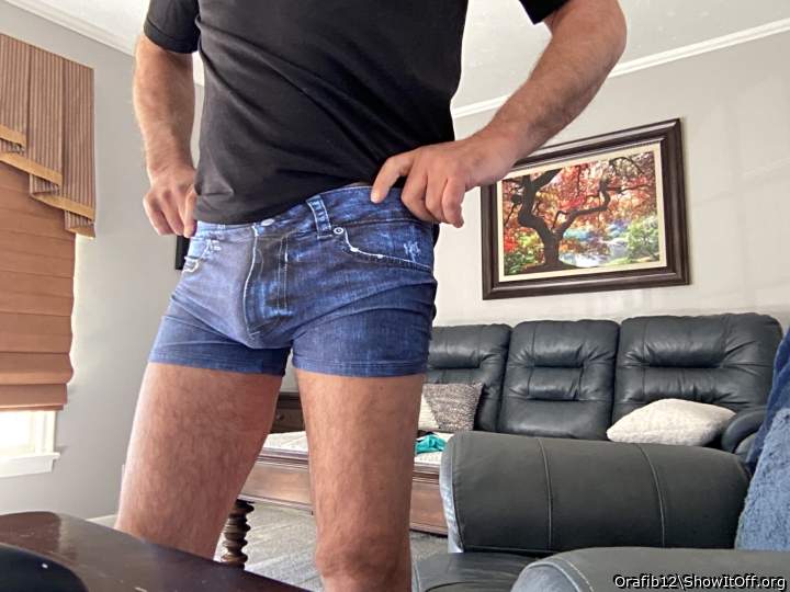 Adult image from Orafib12