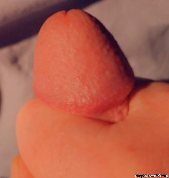 Adult image from ringo