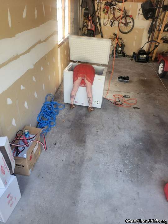 Adult image from Atlee