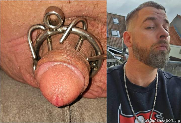 My clitty dick in chastity