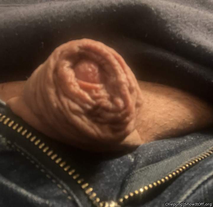 Adult image from Ollepung