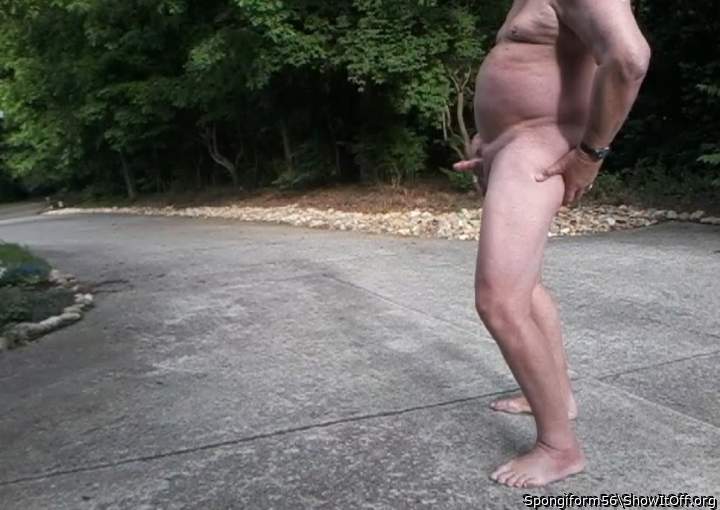 Adult image from Spongiform56