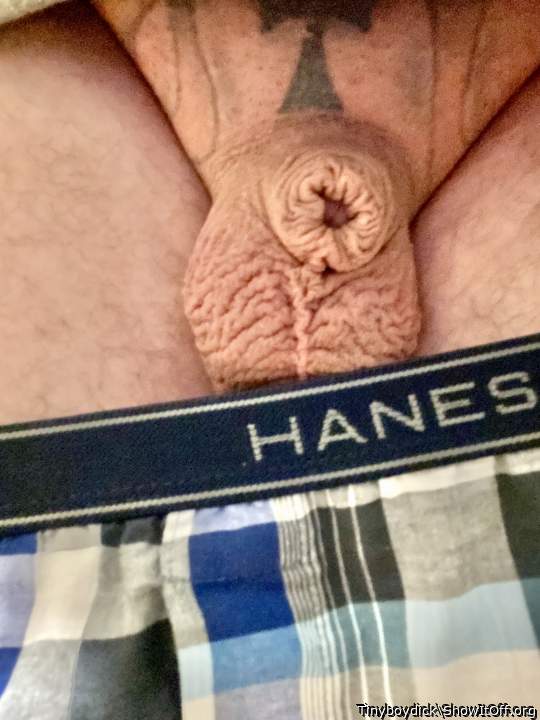 Little boy clit