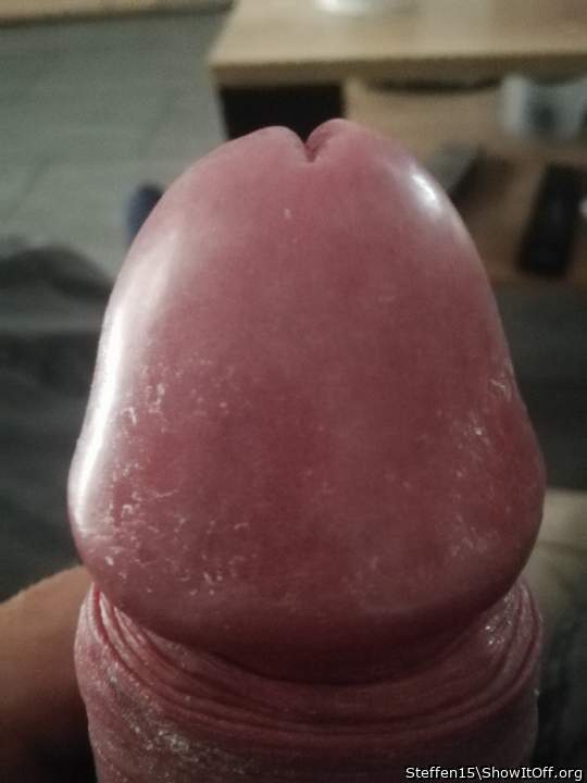 Adult image from Steffen15