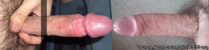 Adult image from *Humpy_Rugmuncher