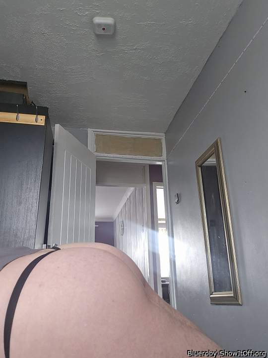 Adult image from Blueroby