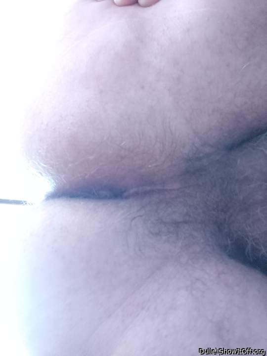 Adult image from Dulle