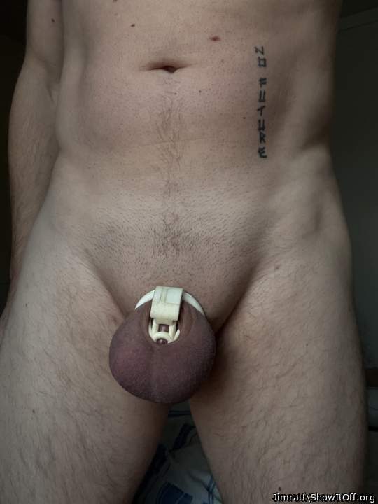 Adult image from Jimratt